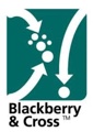 Blackberry&Cross Logo
