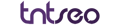 TNT SEO Logo