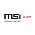 MSI Grupo Logo