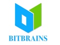 Bitbrains Technology Private Limited Logo