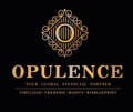 Opulence Accounting and Bookkeeping LLC Logo