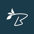Bold Branch Collective Logo
