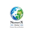 NumeriX Global Pvt. Ltd. Logo