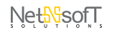 Net Soft Solutions Logo