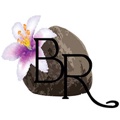 Blooming Rock LLC Logo