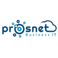 Prosnet Business IT Logo