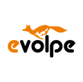 eVolpe Consulting Group Logo