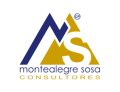 MS Consultores Logo