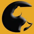 POUNCE Solutions Logo