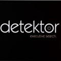 Detektor Executive Search Logo