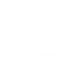 BDDB Logo