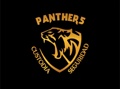 Panthers Custodia y Seguridad Privada de Veracruz, S.A. de C.V. Logo