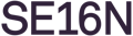 SE16N sp. z o.o. Logo