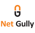 Net Gully Logo