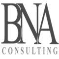 BNA Consulting Services Ltd Logo