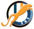 Rapid Web Logo