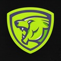 Invincible Lion Logo