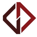 DataDyne Consulting Logo
