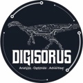 Digisorus Logo