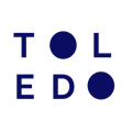 Toledo Consulting Logo