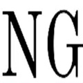 The NorthEnd Group Logo