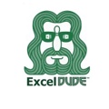 ExcelDude IT Services LTD. Logo