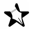 Stellar Literary Press and Media Logo