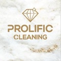 Prolific cleaning Logo