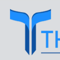 THRIVE BIZ CONSULTANT Logo