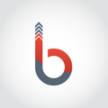 BrandHQ Digital Marketing Services Logo