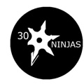 30 Ninjas Logo