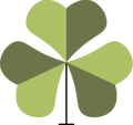 Shamrock Designs Logo