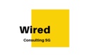 Wired Consulting SG Logo