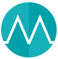 Mint Super Audits Logo
