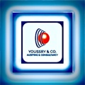 Youssry & Co. Auditing & Consultancy Logo