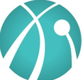 Data Intensity Logo