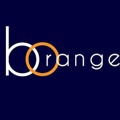 Blue Orange UK Logo