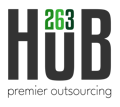 263Hub Logo