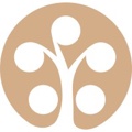 Reelmedia Film Ltd. Logo