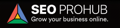 SEO PROHUB Logo