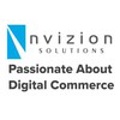 Nvizion Solutions Inc. Logo