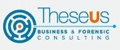 Theseus Dottori Commercialisti Associati Logo