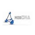 WebDNA ISRAEL Logo