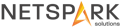 Net Spark Solutions Pvt. Ltd. Logo