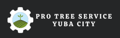Protree Service Yubacity Logo
