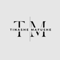 Tinashe Mafushe Websites Logo