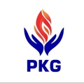 PKG Consultancy Logo