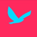 Hawk Design, LLC. Logo