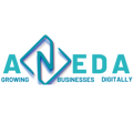 Aneda Marketing Agency Logo