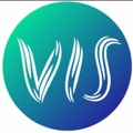 Virtual India Softwares Logo